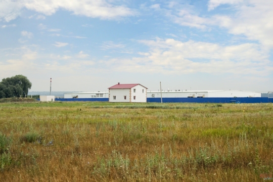 Перекрёсток Перекрёсток